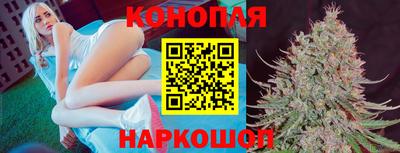 спиды Гусев