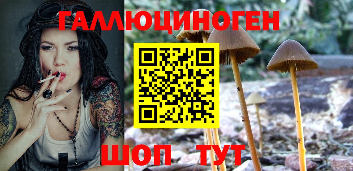Галлюциногенные грибы мицелий  Псилоцибиновые грибы Magic Shrooms  Вход с VPN  Зеленокумск 