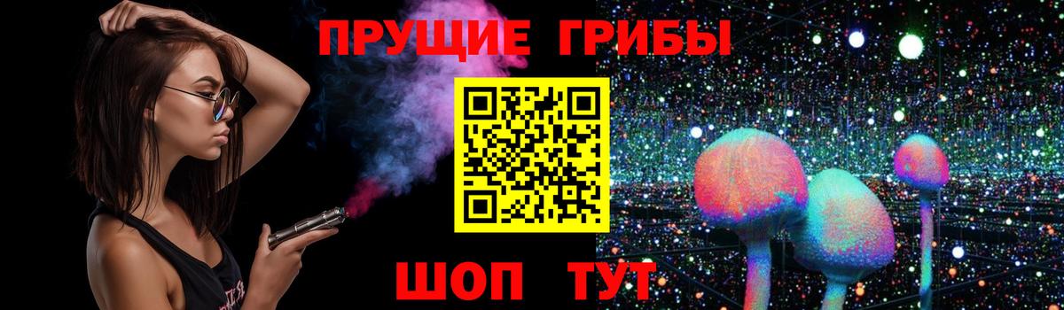 Псилоцибиновые грибы Magic Shrooms  где купить наркотик  Зеленокумск 