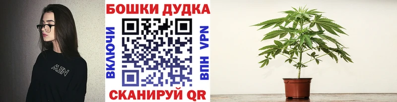 МАРИХУАНА план Зеленокумск